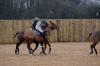 Oxford Polo 2022_12_18 0112